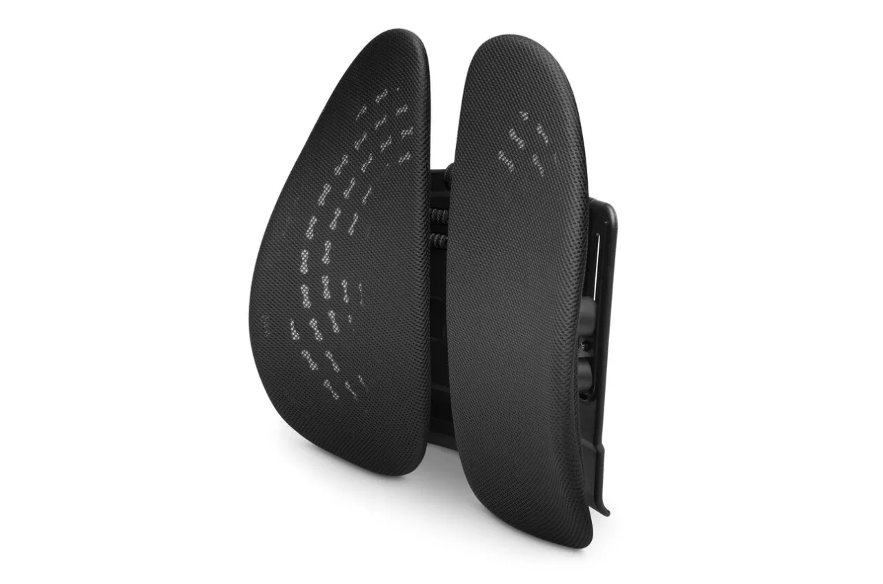 Shop Kensington SmartFit™ Conform™ Back Rest - TAA