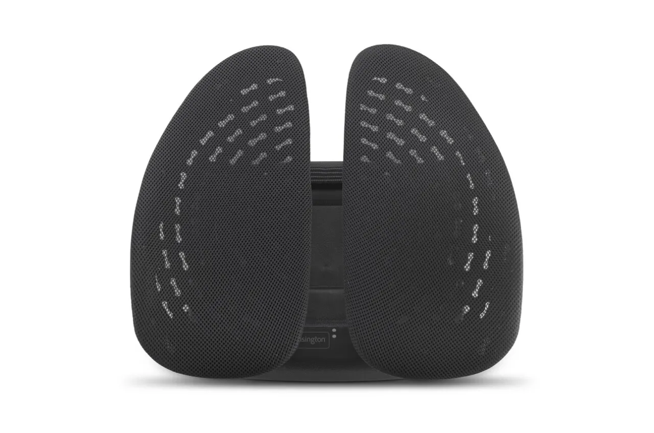 Shop Kensington SmartFit™ Conform™ Back Rest - TAA